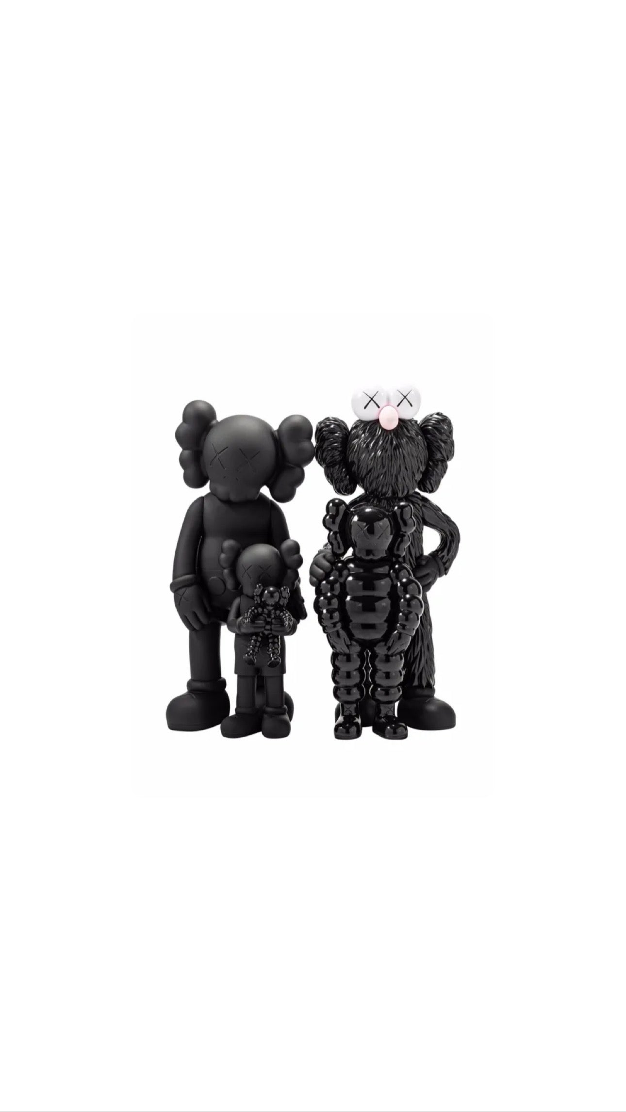 KAWS Family